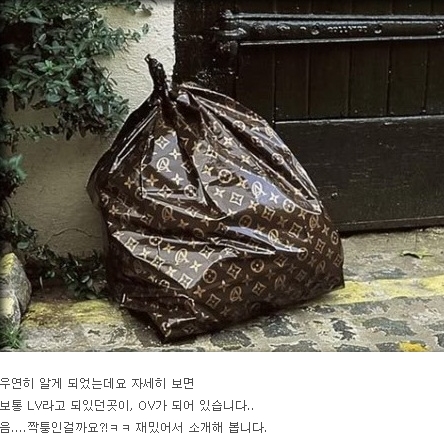 Louis vuitton trash bag hotsell