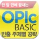 Ѵ޸  OPIC BASIC